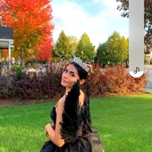 Beautiful black swan costume